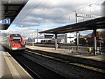 IMG_0263.jpg