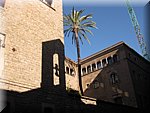 IMG_0300.jpg
