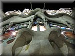 IMG_0332.jpg