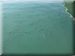 IMG_0426.jpg