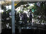 IMG_0440.jpg