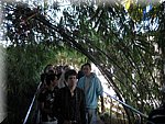 IMG_0441.jpg