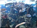 IMG_0442.jpg