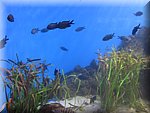 IMG_0452.jpg