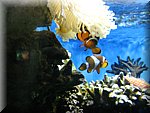 IMG_0461.jpg