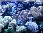 IMG_0466.jpg