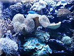 IMG_0467.jpg