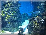 IMG_0475.jpg