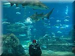 IMG_0496.jpg