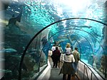IMG_0498.jpg