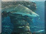 IMG_0499.jpg