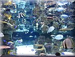 IMG_0501.jpg