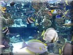 IMG_0502.jpg