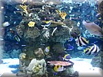 IMG_0503.jpg