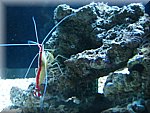 IMG_0511.jpg