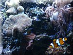 IMG_0514.jpg