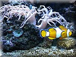 IMG_0515.jpg