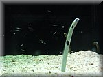IMG_0519.jpg