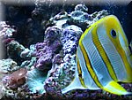 IMG_0522.jpg