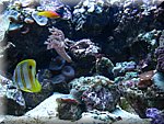 IMG_0523.jpg