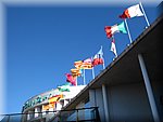 IMG_0525.jpg