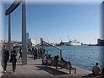 IMG_0529.jpg