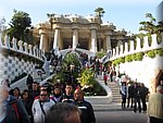 IMG_0538.jpg