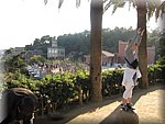 IMG_0556.jpg
