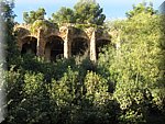 IMG_0558.jpg
