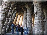 IMG_0560.jpg