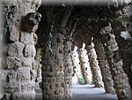 IMG_0571.jpg