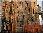 IMG_0589.jpg