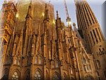 IMG_0591.jpg