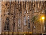 IMG_0593.jpg