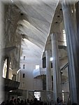IMG_0612.jpg