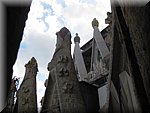 IMG_0661.jpg