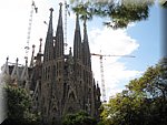 IMG_0666.jpg