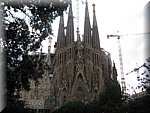 IMG_0667.jpg