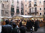 IMG_0683.jpg