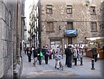 IMG_0684.jpg