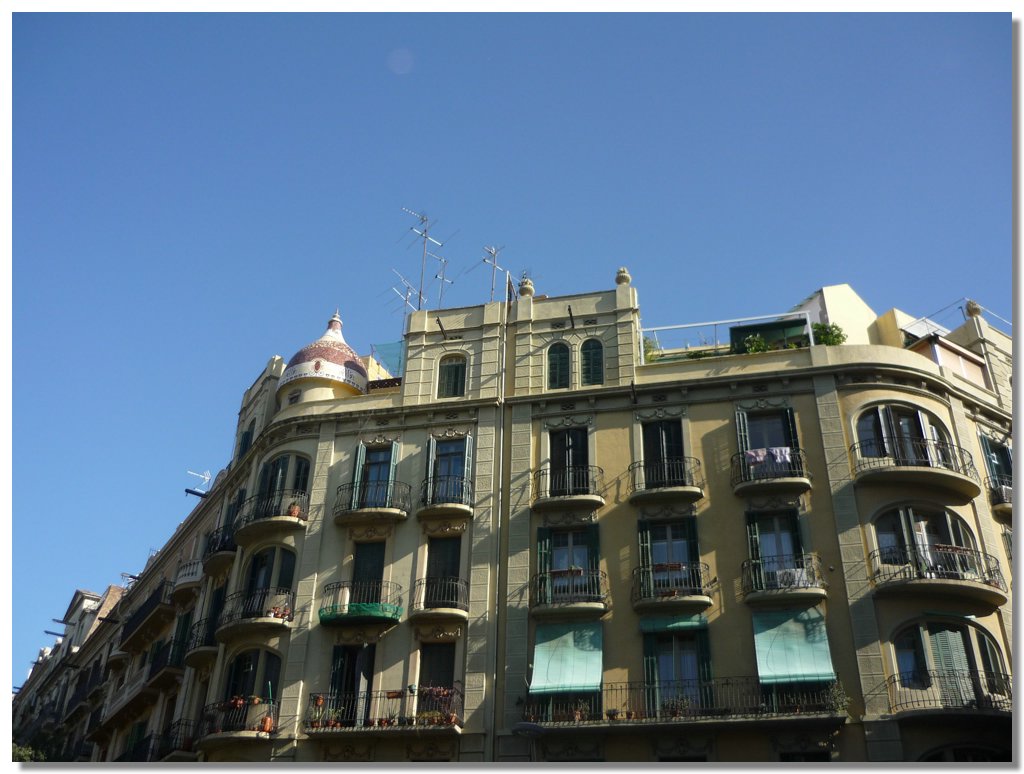 P1010431.JPG