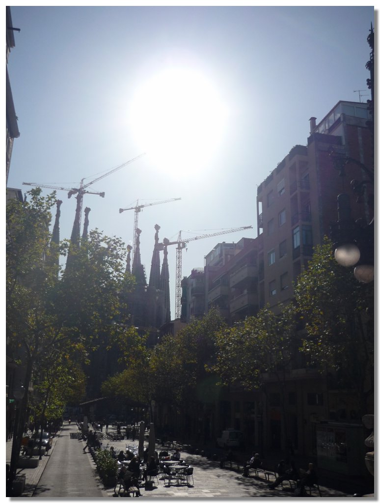 P1010432.JPG