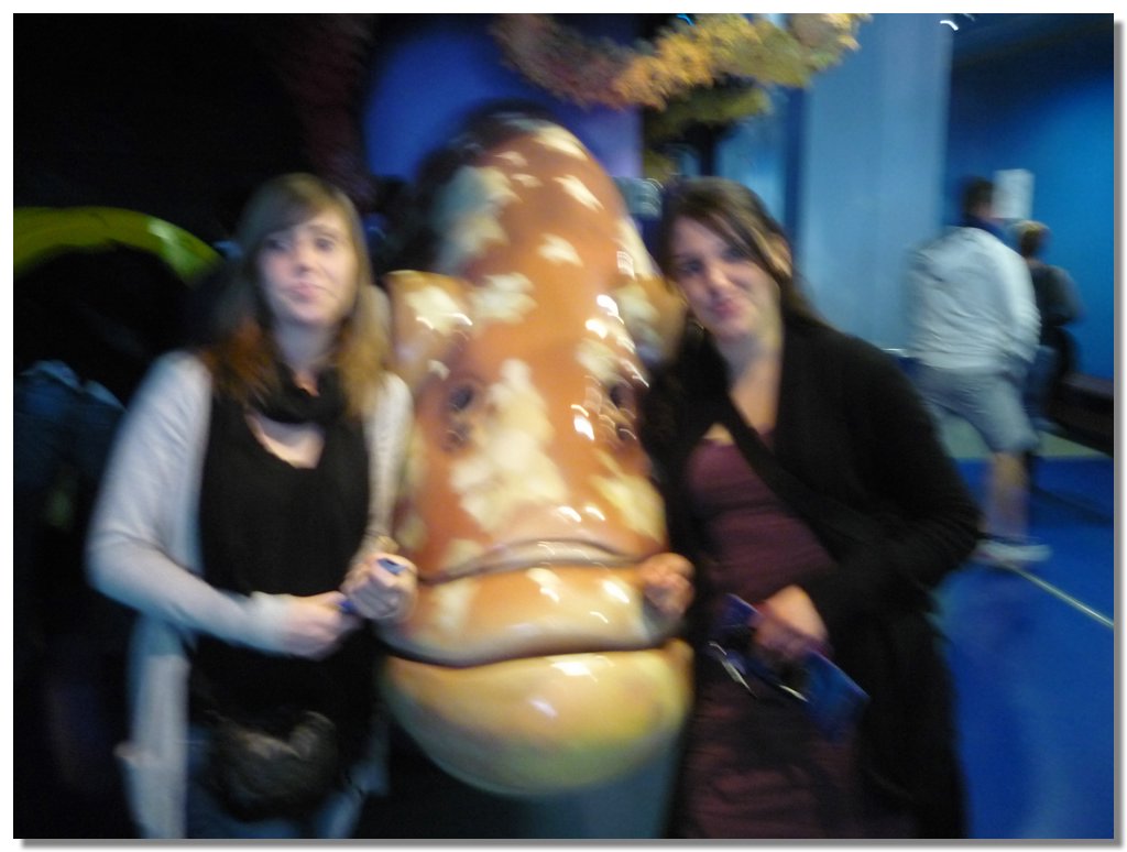 P1010473.JPG