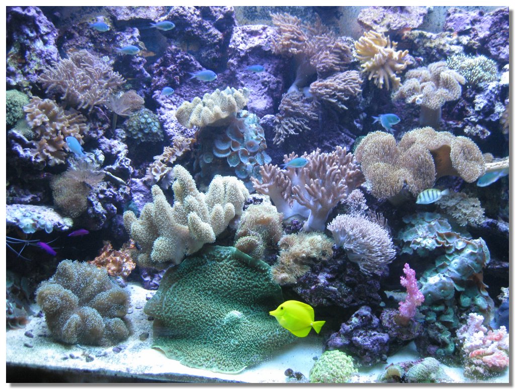 IMG_3363.JPG