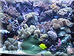 IMG_3363.JPG