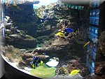 IMG_3368.JPG