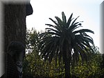 IMG_3393.JPG