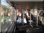 IMG_3565.JPG