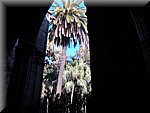 DSC00225.JPG