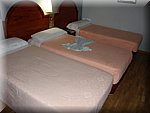 DSC00525.JPG